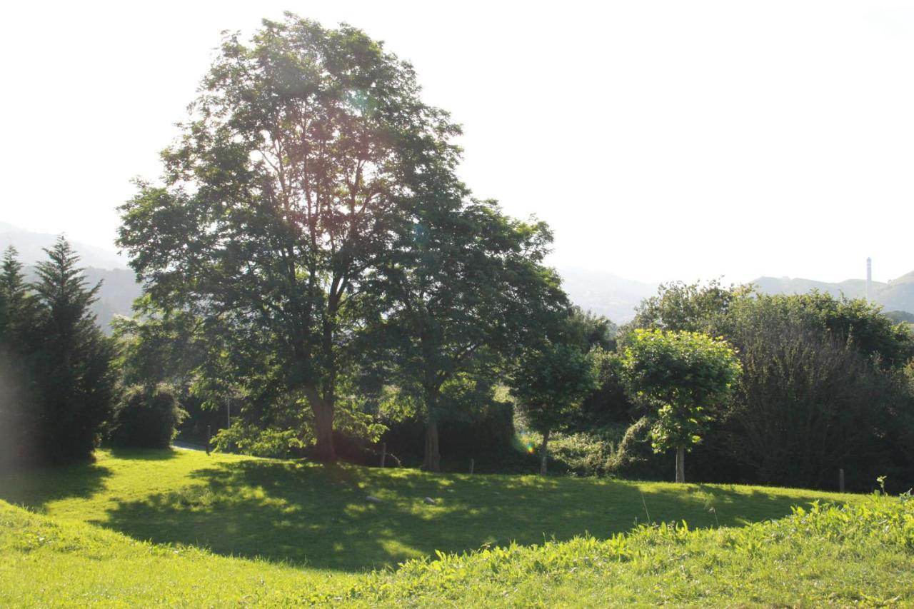 Apartamento Rural Zuri Cotorrio Ngoại thất bức ảnh